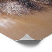 マウンテンマン ポスター (角)