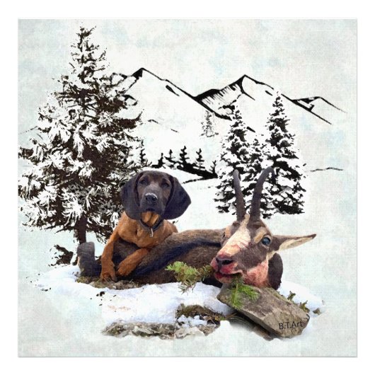 マウンテンヤギ狩り冒険 フォトプリント            (正面)