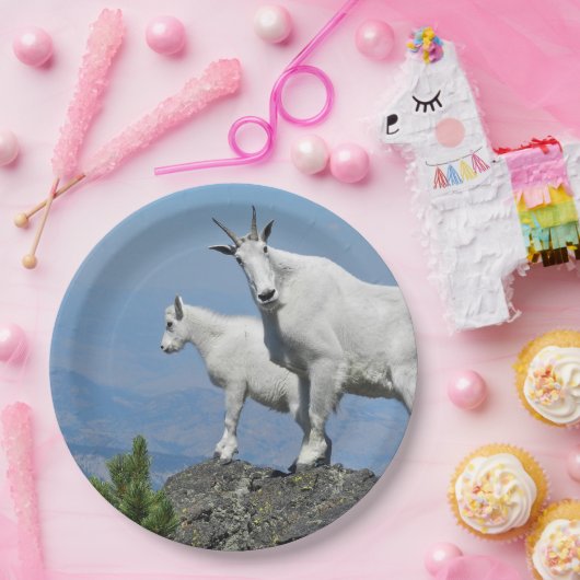 マウンテンヤギ白い野生生物写真 ペーパープレート (パーティー)