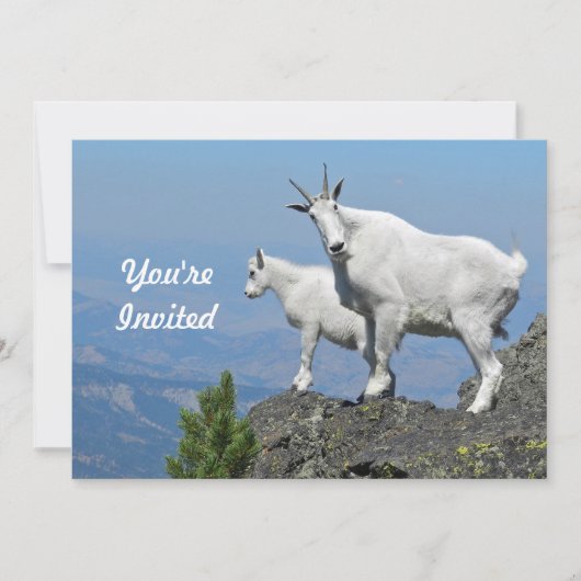 マウンテンヤギ白ワイルドライフフォト誕生日 招待状 (正面)
