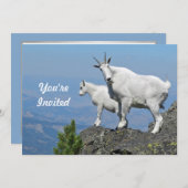 マウンテンヤギ白ワイルドライフフォト誕生日 招待状 (正面/裏面)