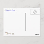 マウンテンヤギ野生動物シリーズ# 11はがき ポストカード (裏面)