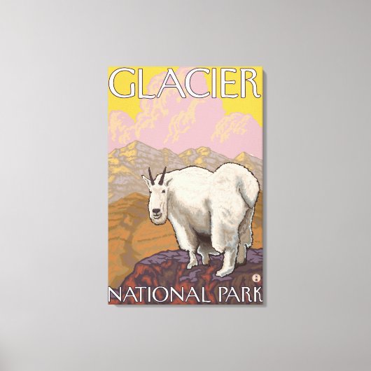 マウンテンヤギ – Glacier National Park, MT キャンバスプリント (正面)