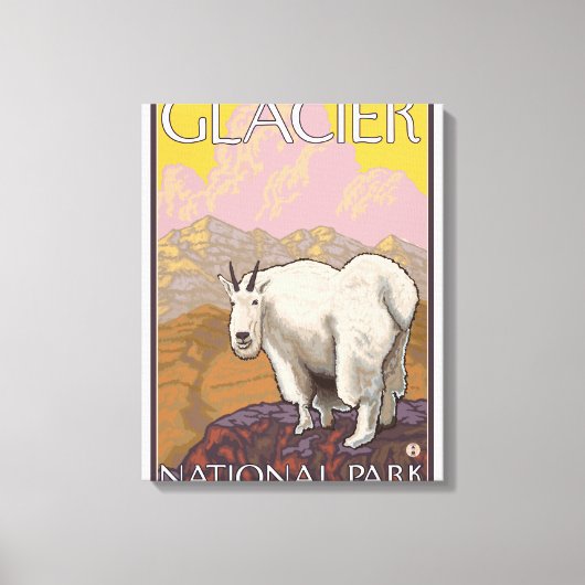 マウンテンヤギ – Glacier National Park, MT キャンバスプリント (正面)