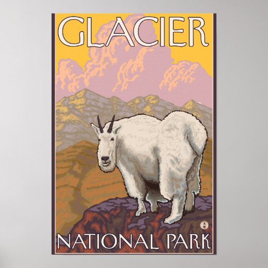 マウンテンヤギ – Glacier National Park, MT ポスター (正面)