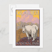 マウンテンヤギ – Glacier National Park, MT ポストカード (正面/裏面)