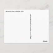 マウンテンヤギatグレイシャナショナルパーク ポストカード (裏面)