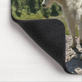 マウンテンヤギatグレイシャナショナルパーク マウスパッド (コーナー)