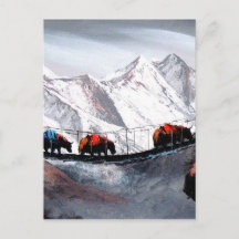 マウンテンヤックスヒマラヤの群れ