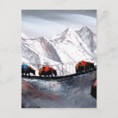 マウンテンヤックスヒマラヤの群れ ポストカード (正面)