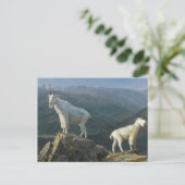 マウンテンヤートバイアルバートビエルシュタット ポストカード (スタンド正面)