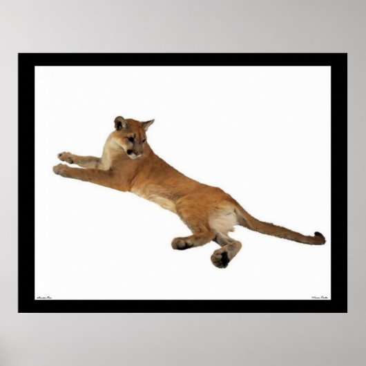 マウンテンライオンのポスター ポスター (正面)