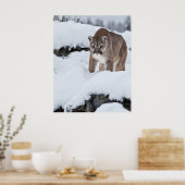 マウンテンライオンオンオン狩り ポスター (キッチン)