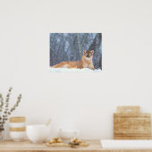 マウンテンライオンズ ポスター (キッチン)