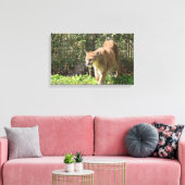 マウンテンライオンプーマクーガーキャンバス キャンバスプリント (インサイチュ (リビング))