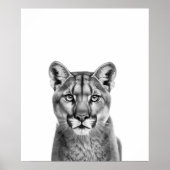 マウンテンライオンプーマ大きな猫白黒 ポスター (正面)