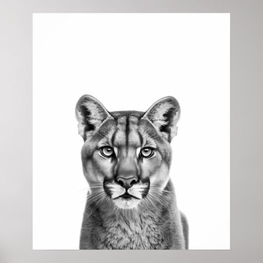 マウンテンライオンプーマ大きな猫白黒 ポスター (正面)