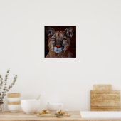 マウンテンライオンプーマ ポスター (キッチン)