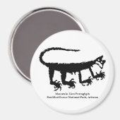 マウンテンライオンペトログリフ マグネット (正面/裏面)