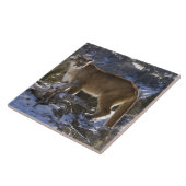 マウンテンライオン タイル (側面)