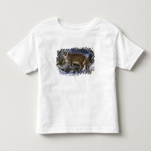 マウンテンライオン トドラーTシャツ