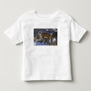 マウンテンライオン トドラーTシャツ