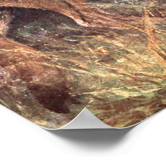 マウンテンライオン、プーマまたはクーガーby CE Swan ポスター (角)