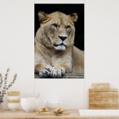 マウンテンライオン ポスター (キッチン)