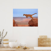 マウンテンライオン ポスター (キッチン)