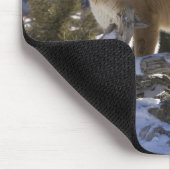 マウンテンライオン マウスパッド (コーナー)