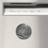 マウンテンライオン マグネット (インサイチュ (食洗機))