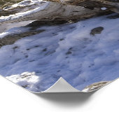 マウンテンライオン、別名プマ、クーガー、プマ・コンカラー、 ポスター (角)