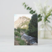 マウンテンラピッズ ポストカード (スタンド正面)