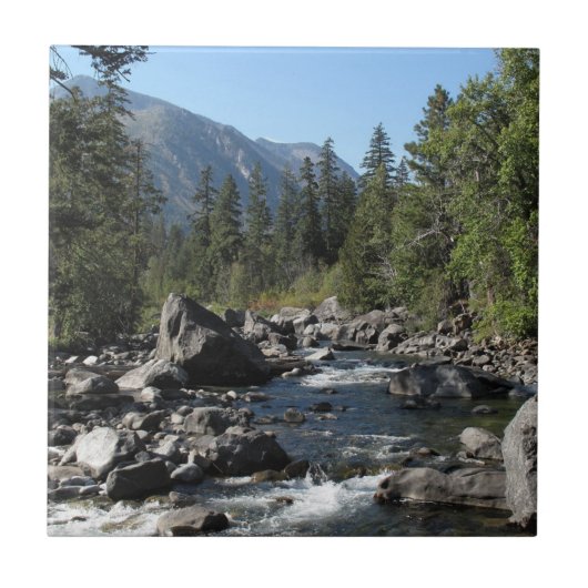 マウンテンリバーゴツゴツゴツゴツ風景 タイル (正面)