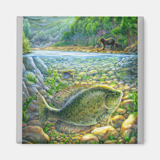 マウンテンリバーフィッシュ マグネット (正面)