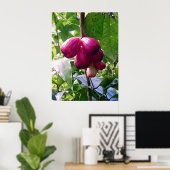 マウンテンリンゴ ポスター (ホームオフィス)