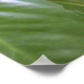 マウンテンリンゴII ポスター (角)