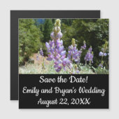 マウンテンルパンアットヨセミテ (正面/裏面)