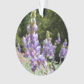 マウンテンルパンアットヨセミテ オーナメント (正面)