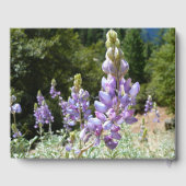 マウンテンルパンアットヨセミテ ゲストブック (裏面)