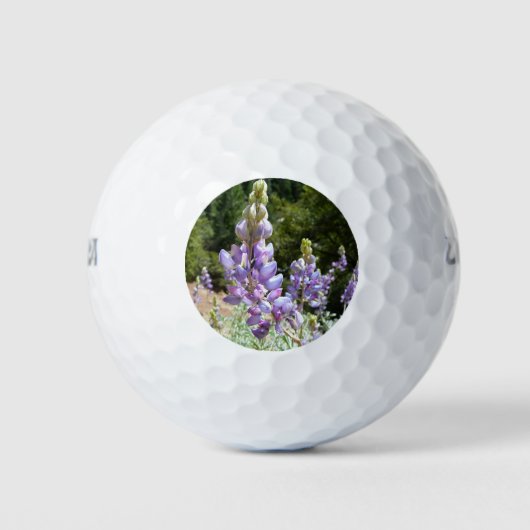 マウンテンルパンアットヨセミテ ゴルフボール (正面)