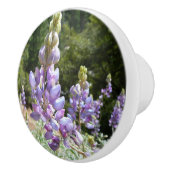 マウンテンルパンアットヨセミテ セラミックノブ (右)