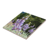 マウンテンルパンアットヨセミテ タイル (側面)