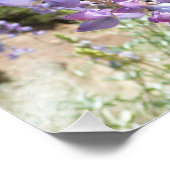 マウンテンルパンアットヨセミテ フォトプリント            (角)