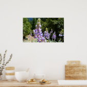 マウンテンルパンアットヨセミテ ポスター (キッチン)