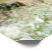 マウンテンルパンアットヨセミテ ポスター (コーナー)