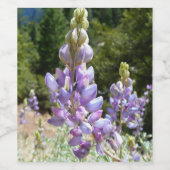 マウンテンルパンアットヨセミテ ワインラベル (シングルラベル)