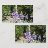 マウンテンルパンアットヨセミテ 名刺 (正面/裏面)