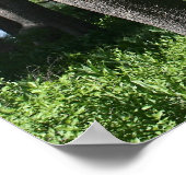 マウンテンレイク、フォレスト ポスター (角)