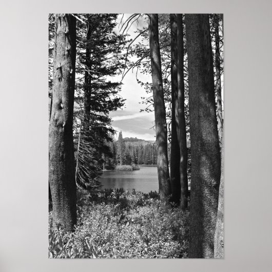 マウンテンレイク、フォレスト、白黒(ポートレート) ポスター (正面)